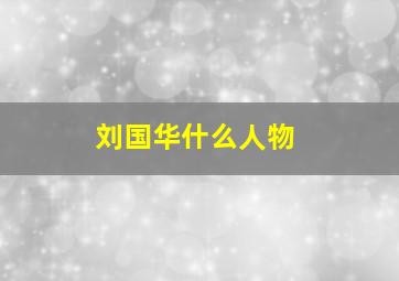 刘国华什么人物