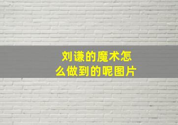 刘谦的魔术怎么做到的呢图片