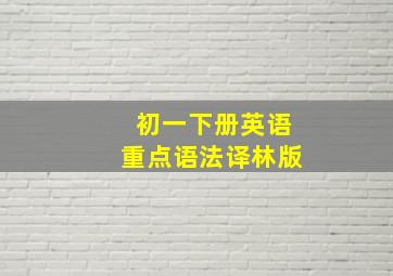 初一下册英语重点语法译林版