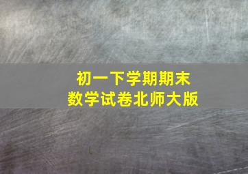 初一下学期期末数学试卷北师大版