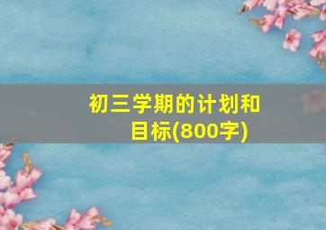 初三学期的计划和目标(800字)