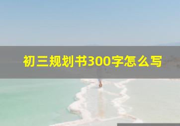 初三规划书300字怎么写