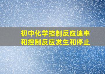 初中化学控制反应速率和控制反应发生和停止