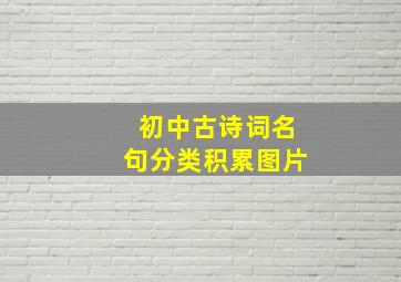 初中古诗词名句分类积累图片