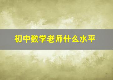 初中数学老师什么水平