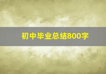 初中毕业总结800字