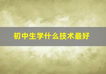 初中生学什么技术最好