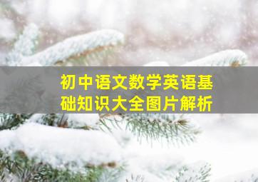 初中语文数学英语基础知识大全图片解析