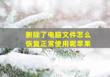 删除了电脑文件怎么恢复正常使用呢苹果