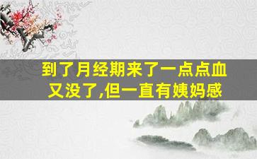 到了月经期来了一点点血又没了,但一直有姨妈感