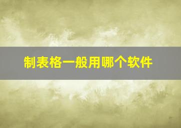 制表格一般用哪个软件