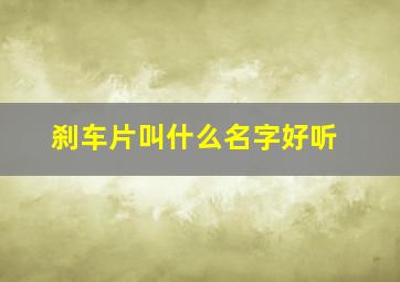 刹车片叫什么名字好听