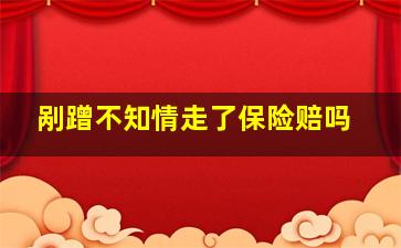 剐蹭不知情走了保险赔吗