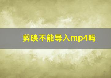 剪映不能导入mp4吗