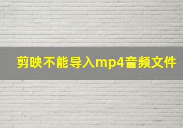 剪映不能导入mp4音频文件