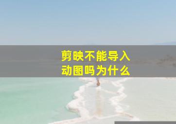 剪映不能导入动图吗为什么