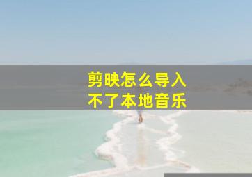 剪映怎么导入不了本地音乐