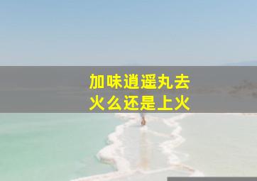 加味逍遥丸去火么还是上火