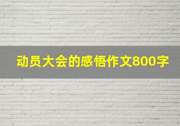 动员大会的感悟作文800字