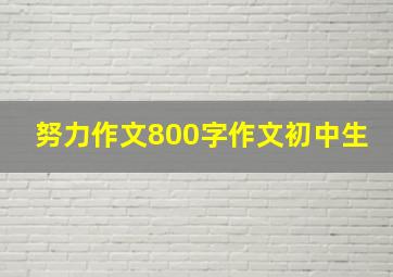 努力作文800字作文初中生