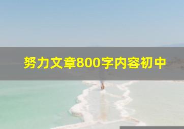 努力文章800字内容初中