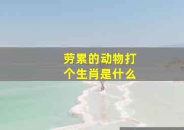 劳累的动物打个生肖是什么