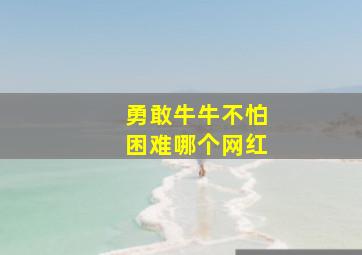 勇敢牛牛不怕困难哪个网红