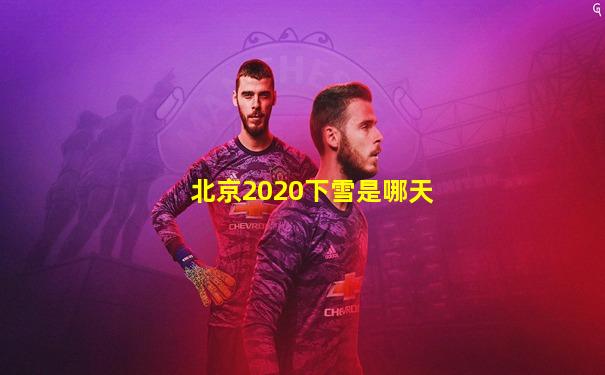 北京2020下雪是哪天