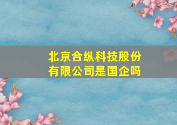 北京合纵科技股份有限公司是国企吗