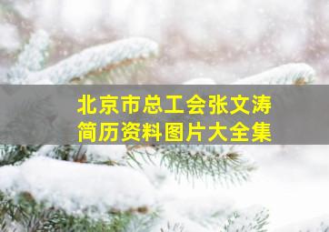 北京市总工会张文涛简历资料图片大全集