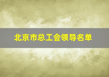 北京市总工会领导名单