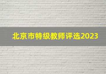 北京市特级教师评选2023