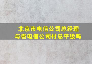 北京市电信公司总经理与省电信公司付总平级吗