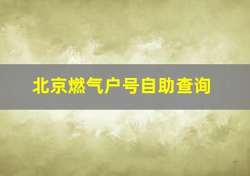 北京燃气户号自助查询