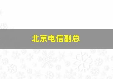 北京电信副总