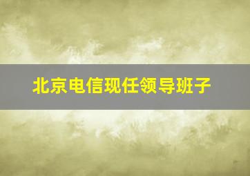 北京电信现任领导班子