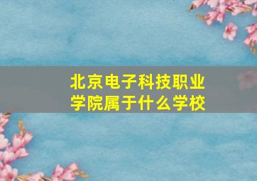 北京电子科技职业学院属于什么学校