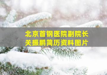 北京首钢医院副院长关振鹏简历资料图片