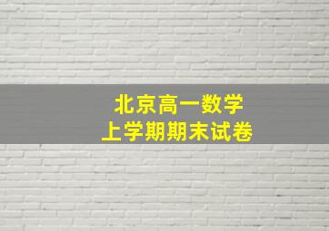 北京高一数学上学期期末试卷