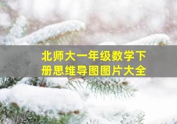 北师大一年级数学下册思维导图图片大全