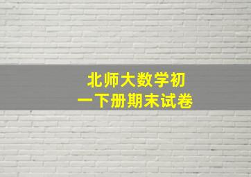 北师大数学初一下册期末试卷