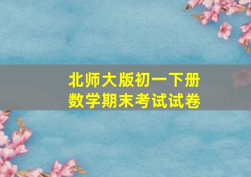 北师大版初一下册数学期末考试试卷