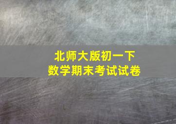 北师大版初一下数学期末考试试卷