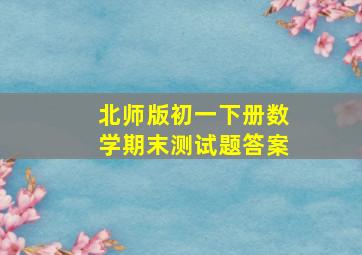 北师版初一下册数学期末测试题答案