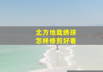 北方地栽绣球怎样修剪好看