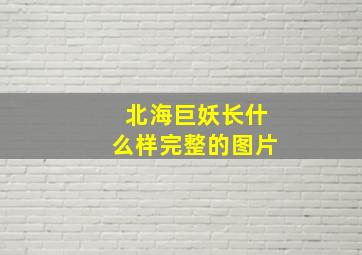 北海巨妖长什么样完整的图片