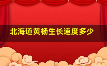 北海道黄杨生长速度多少