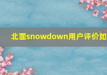 北面snowdown用户评价如何