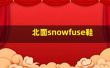 北面snowfuse鞋