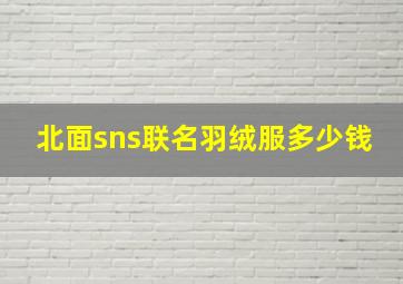 北面sns联名羽绒服多少钱